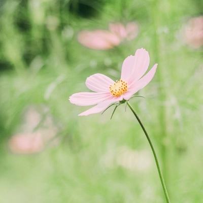 仟源医药：8月28日召开董事会会议