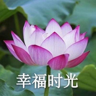 10后开始痛风了