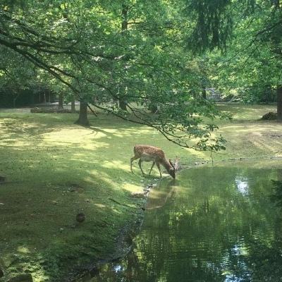 山东高密市：党建引领“幸福社 德邻里”建设 构建网格精细治理新格局