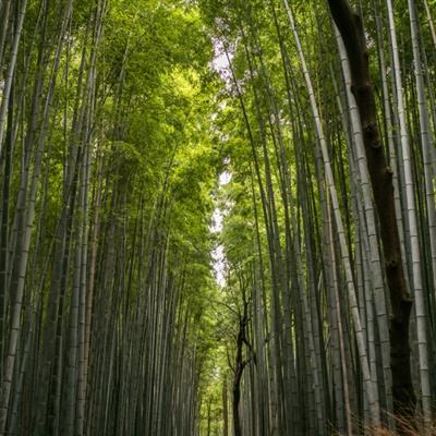 黑龙江三景区入选“冰雪旅游首选目的地”